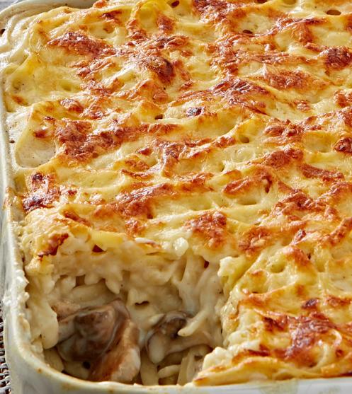 creamy chicken pasta