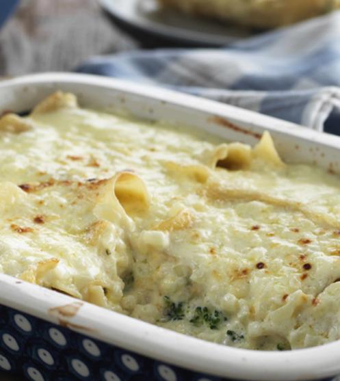 Creamy Broccoli &amp; Cheddar Cannelloni | Maggi Arabia