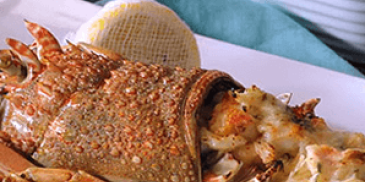 Creamy Lobster Bake