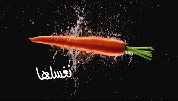 المصدر:القصة تبدأ في المزارع
